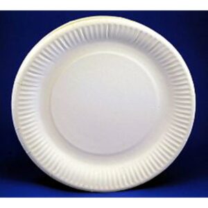 6″ paper plate