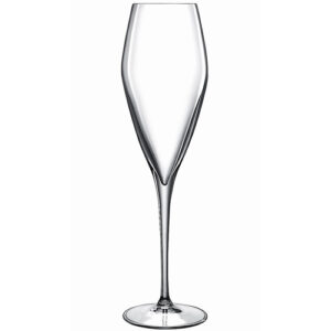 Atelier Crystal Champagne Flute 8.5oz