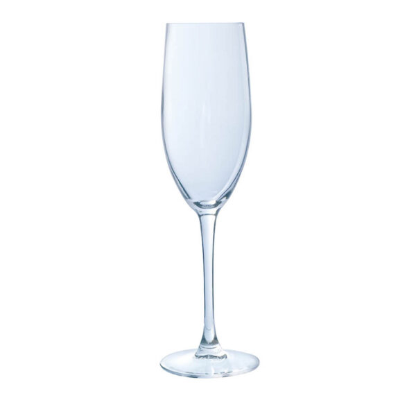 Cabernet Champagne Flute 8oz