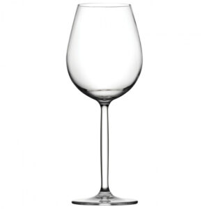 Sommelier Polycarbonate Wine Glass 15oz