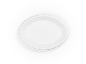 10in bagasse oval plate