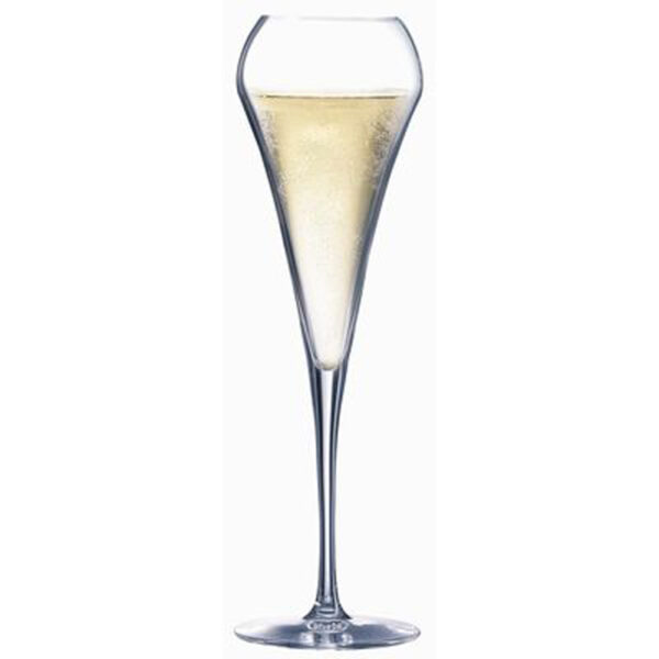 Open Up Champagne Flute 6.75oz FULL