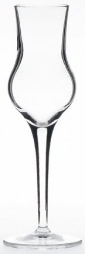 Michelangelo Masterpiece Crystal Grappa Glass 3.25oz