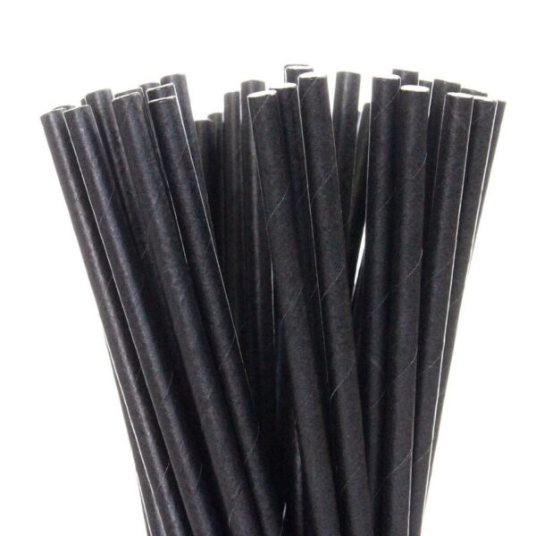 Black Paper Sip Straws 8" Cocktail Straws Memphis Eco Friendly Biodegradable-13254