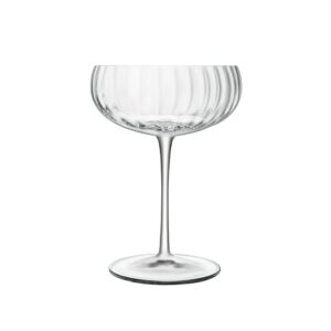 Speakeasy Swing Champagne Cocktail Glass