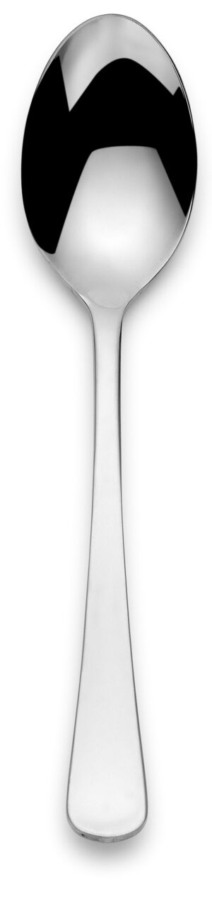 Spectro Dessert Spoon