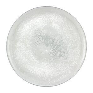 Smart Salt Coupe Plate 28cm