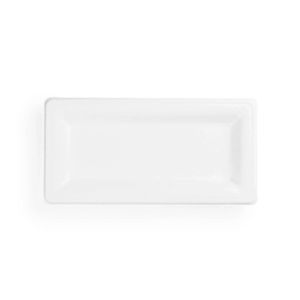 10 x 5in rectangular bagasse plate