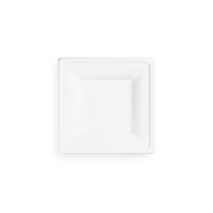 6in square bagasse plate