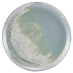 GenWare Terra Porcelain Coupe Plate Seafoam