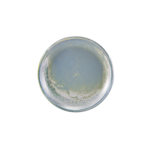 Terra Porcelain Seafoam Coupe Plate 19cm