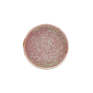 Terra Porcelain Rose Low Presentation Plate 18cm