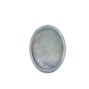 Terra Porcelain Seafoam Presentation Plate 20.5cm