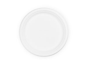 10in bagasse plate