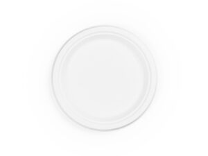 9in source-reduced bagasse plate