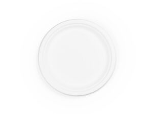 9in bagasse plate