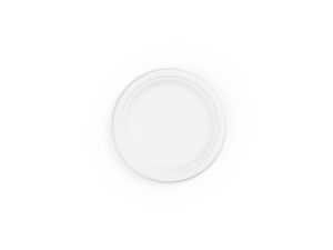 6in bagasse plate