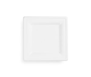 8in square bagasse plate