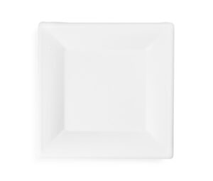 10in square bagasse plate