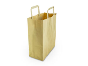 Medium recycled paper carrier