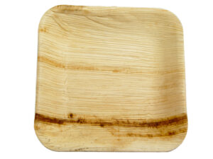 7in square palm plate