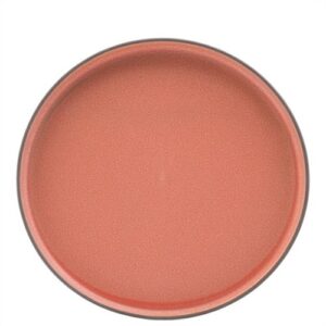 Coral Walled Plate 10.25" (26cm)