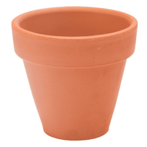 Estrella Pot 3.75" (9.5cm)