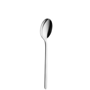 Alaska Dessert Spoon