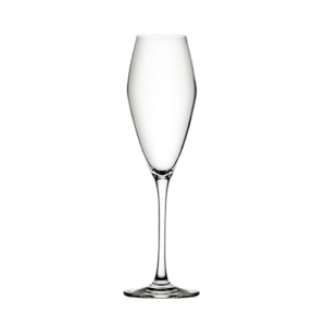 Utopia Seine Champagne Flute 260ml/9oz