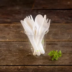 Disposable Cutlery