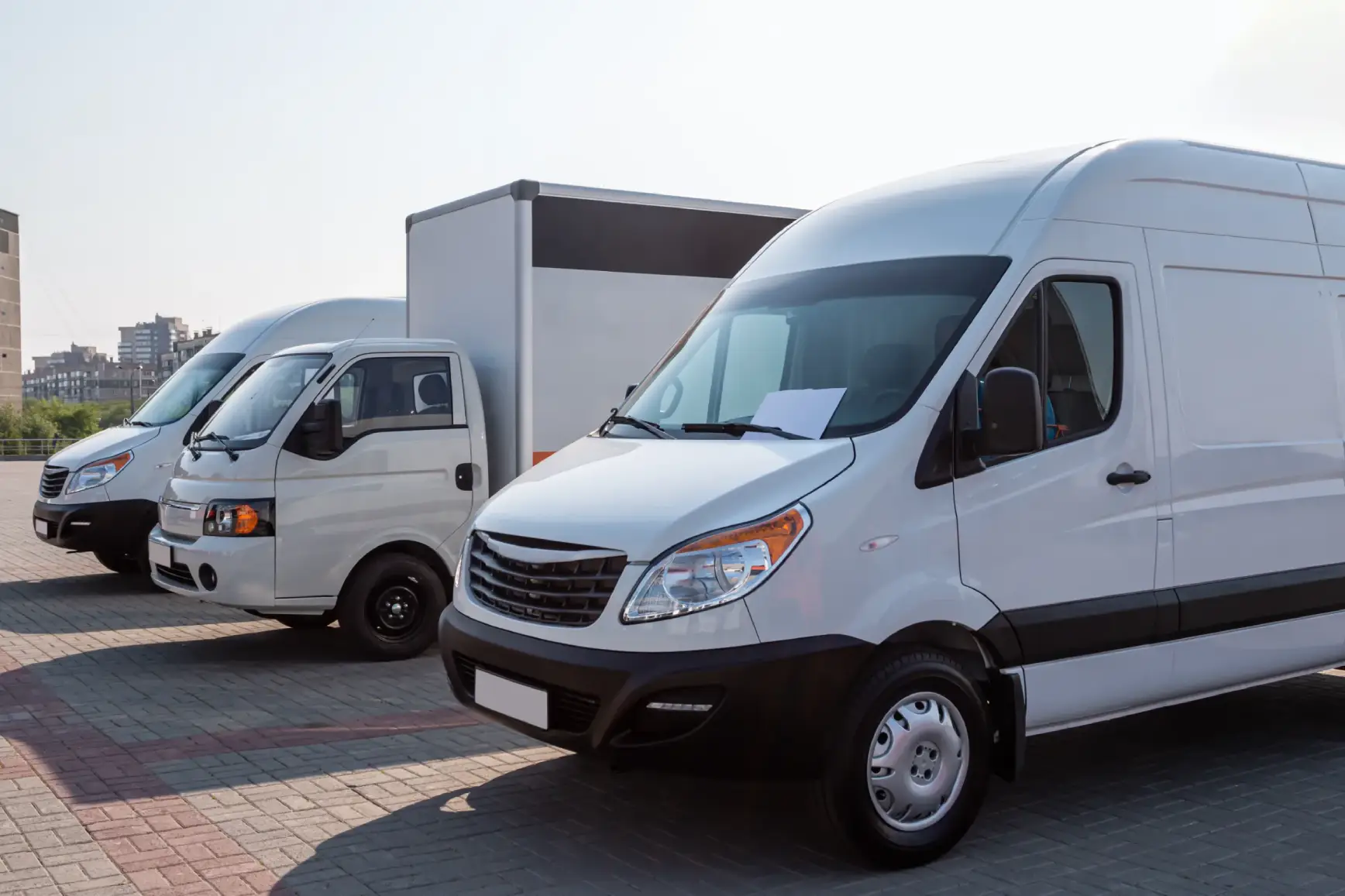 Image of Ascot Whole Delivery Vans the vehicles are white in colour