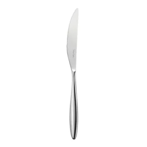 Robert Welch Hidcote Bright Finish Steak Knife