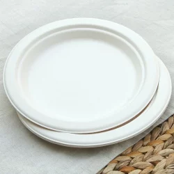 Disposable Plates