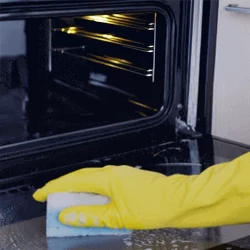 Oven Cleaner