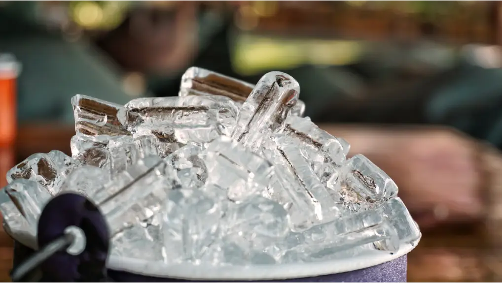 Close up image of an ice bucket